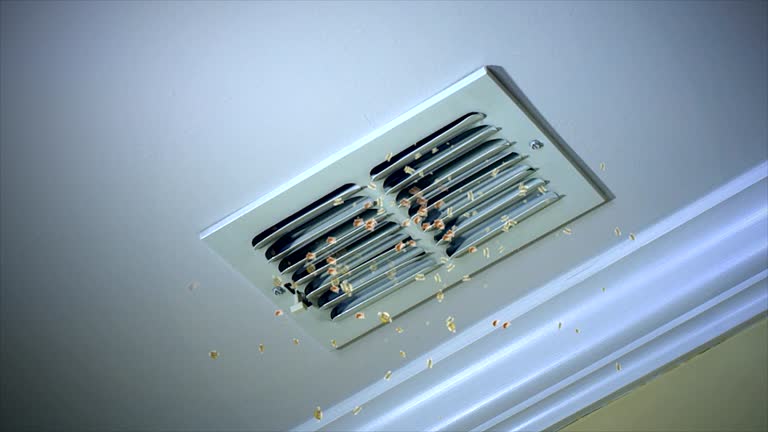 Best Local Air Duct Cleaning Services  in Nashville, IN